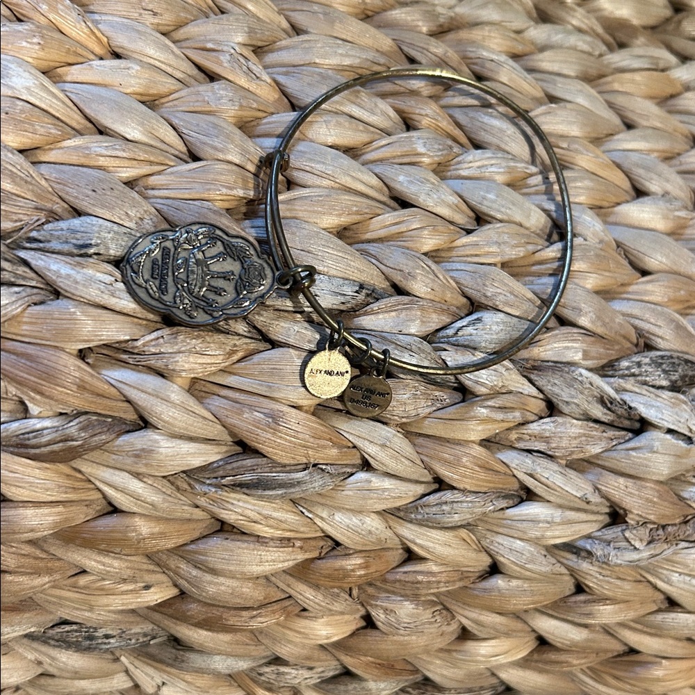 Alex And Ani Mother Mary Charm Bangle